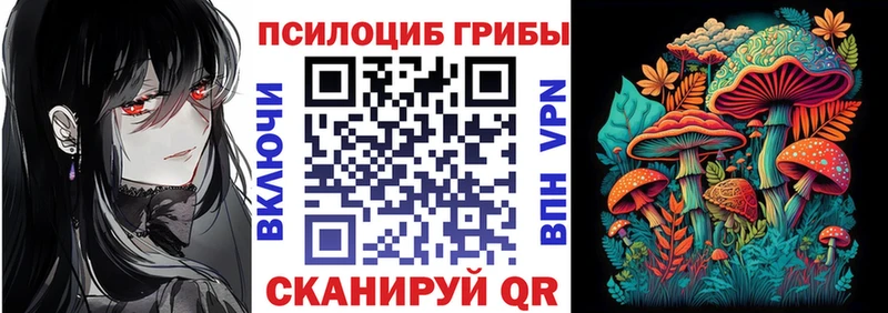 Псилоцибиновые грибы Psilocybine cubensis  Чулым 